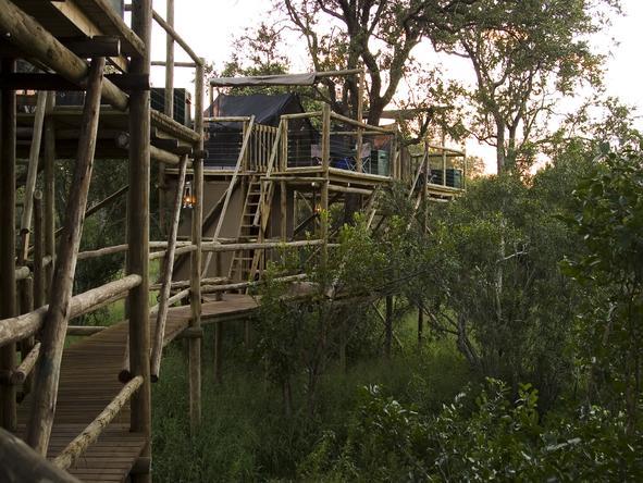 Plains Camp - Camp